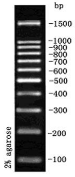 ed_1758535435562724.png ed_1758535435562724.png