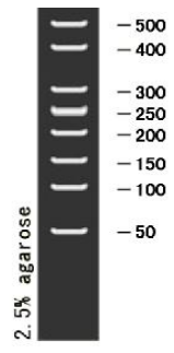 ed_1758540684918494.png ed_1758540684918494.png