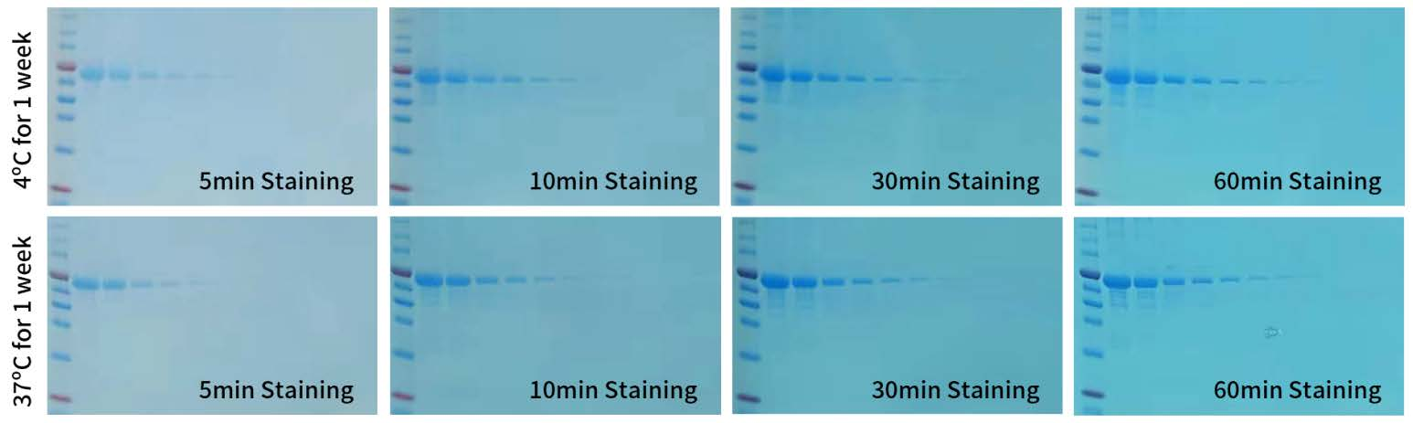 ed_1764234527155154.png 图片2.png