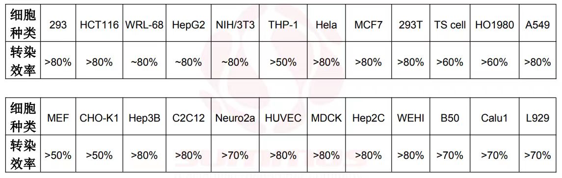 ed_1741503185641100.jpg ed_1741503185641100.jpg