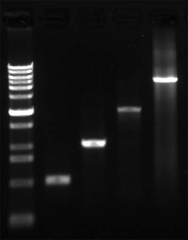 579e0e5e263d2b2fa7cfc1d796a7e14a_D0076_pic2.jpg