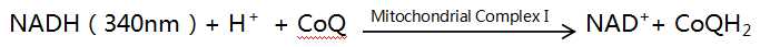 ed_1749199060849296.png