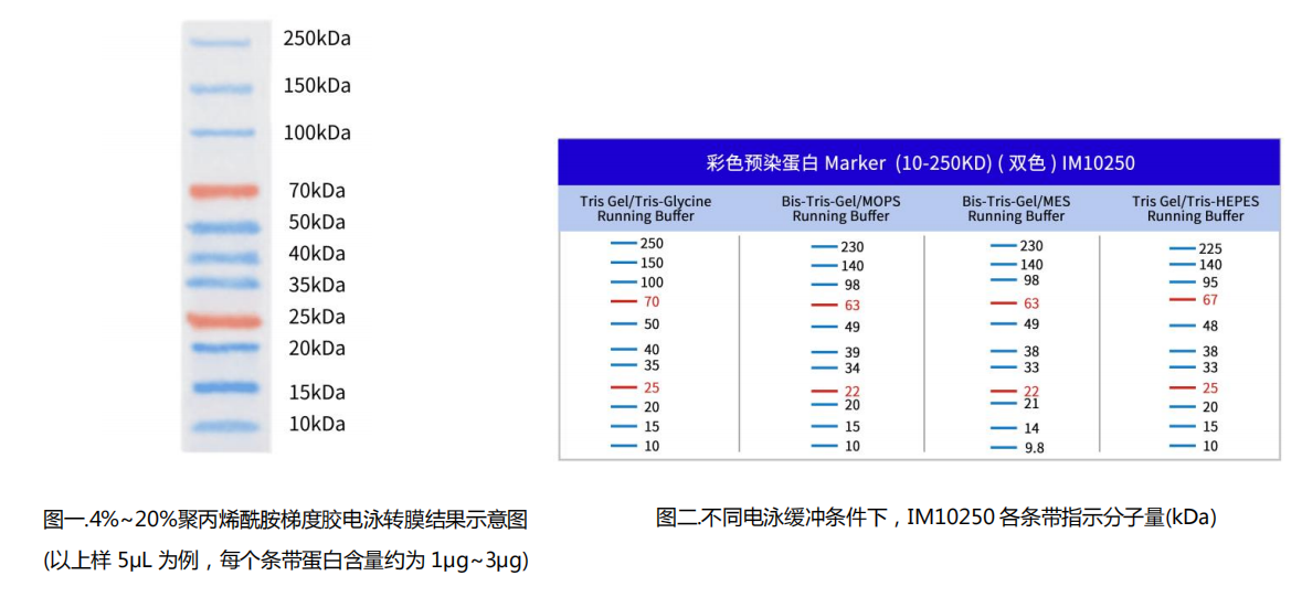 ed_1750233138856617.png image.png