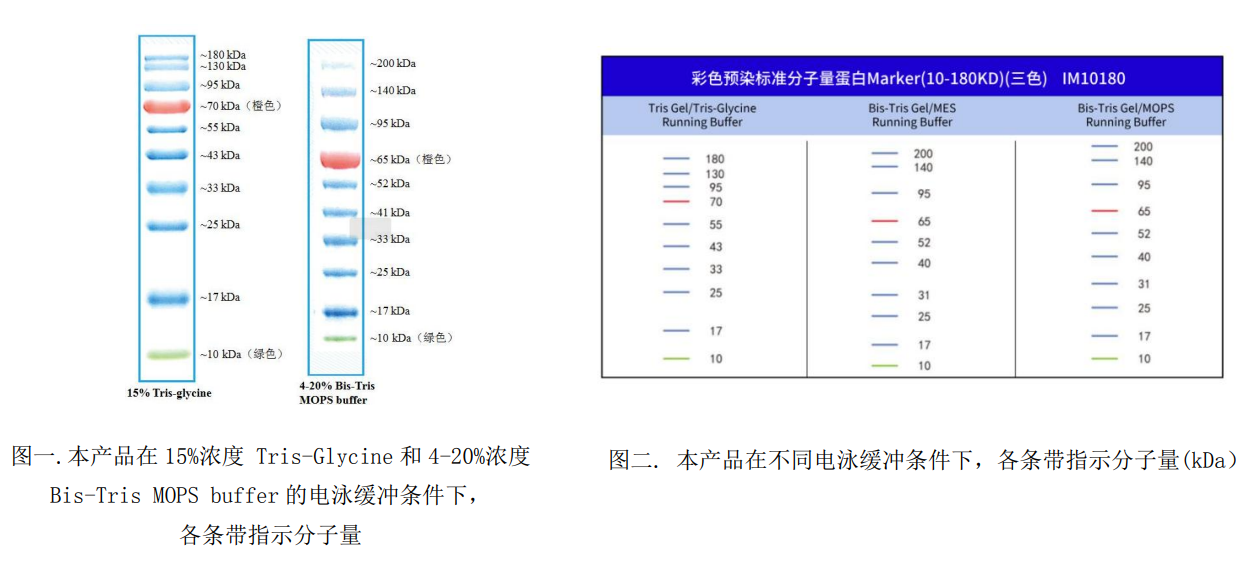 ed_1750233453322820.png image.png