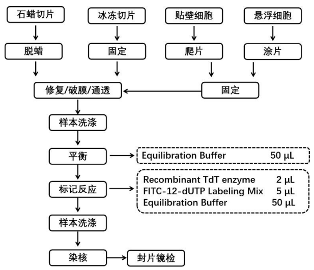 ed_1755000348236737.png