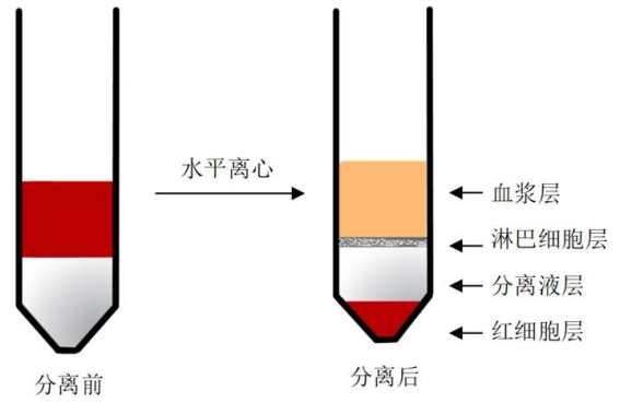 ed_1779759388629065.png